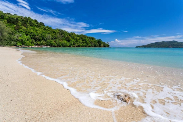 Сoral Beach 14